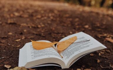 Imagen del club «Poemas e Imágenes»
